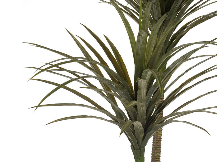 Planta con Maceta Hoja Estrecha Mediana Ibergarden 150 cm (Alto) x 105 cm (Largo) x 80 cm (Ancho)