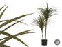 Planta con Maceta Hoja Estrecha Mediana Ibergarden 150 cm (Alto) x 105 cm (Largo) x 80 cm (Ancho)