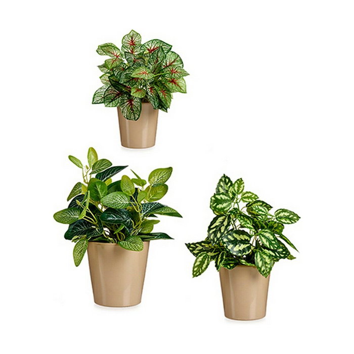 Set de Macetas Ibergarden Beige Arcilla 16,5 x 16 x 16,5 cm (6 Unidades)