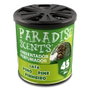 Abc Perfumador Lata Gel Pino 100gr Paradise