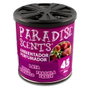 Abc Perfumador Lata Gel Fresa Paradise 100g