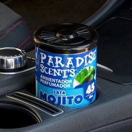 Abc Perfumador Lata Gel Mojito Paradise PER80127 Ambientador Gel 100 gr