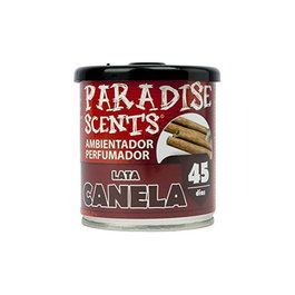 Abc PER80130 Perfumador Lata Gel Canela Paradise 100 gr