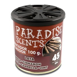 Abc Perfumador Lata Gel Canela Paradise 100g