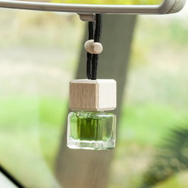 Perfumador Botella Mojito Ambientador PER80207