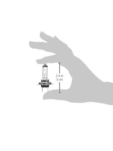 M-Tech Lámpara Halógena PX26D 12V/55W H7 M-Tech Lámpara Halógena PX26D 12V/55W H7