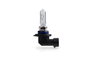M-Tech Lámpara Halógena 12V 60W HB3-9005 MTECZ9