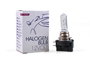 M-Tech Lámpara Halógena PGJY19-5 12V/65W H9B