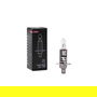 M-Tech Lámpara Halógena H1 P14.5S 24V 70W MTECZ901