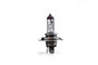 M-Tech Lámpara Halógena P43T 24V 75/70W H4