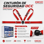 Occ Motorsport Arnés de 4 Puntos de 3 Pulgadas Rojo
