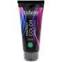 Exitenn Fantasy Color Verde 100ml