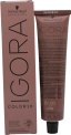 Schwarzkopf Igora Color 10 8,00 Rubio Claro Natural Extra