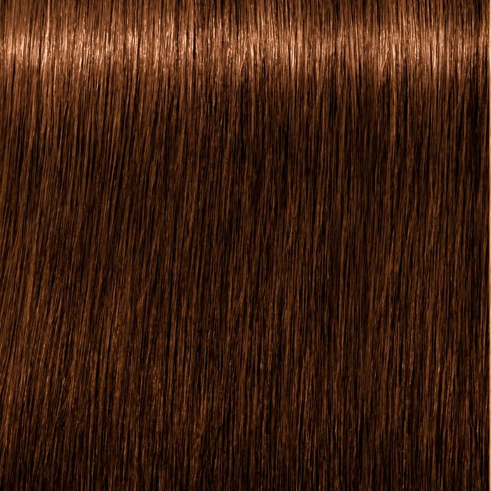 Schwarzkopf IGORA ROYAL ABSOLUTES 8-60 Rubio Claro Marrón Natural