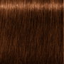 Schwarzkopf IGORA ROYAL ABSOLUTES 8-60 Rubio Claro Marrón Natural