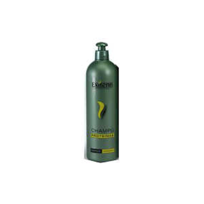 Exitenn Champú Proteínas 500 ml