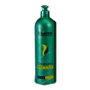 Exitenn Champú Proteínas 500 ml