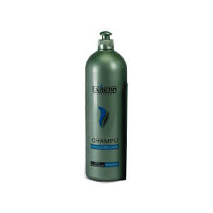 Exitenn Champú Prevención Caspa 1000 ml