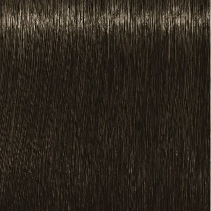 Schwarzkopf Igora Royal Rubio Oscuro Ceniza Chocolate 6-16 Schwarzkopf Igora Royal Rubio Oscuro Ceniza Chocolate 6-16