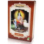 Radhe Shyam Henna en Polvo Castaño Claro 100g