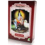 Radhe Shyam Henna en Polvo Castaño Caoba 100g