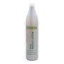 Exitenn Champú Regulador Graso 500 ml