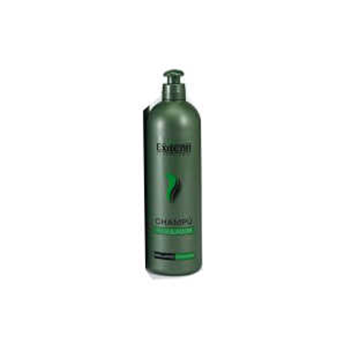Exitenn Champú Regulador Graso 500 ml Exitenn Champú Regulador Graso 500 ml