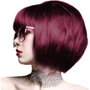 Crazy Color 61 Burgundy
