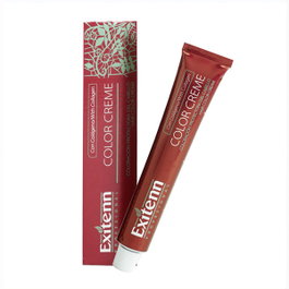 Exitenn Color Creme 672 Rubio Oscuro Choco