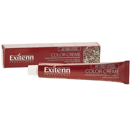 Exitenn Color Creme 111 Ceniza Brillante
