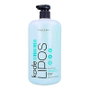 Periche Champú Lipos Oily 1000 ml