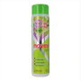 Novex Super Aloe Vera Champú 300 ml