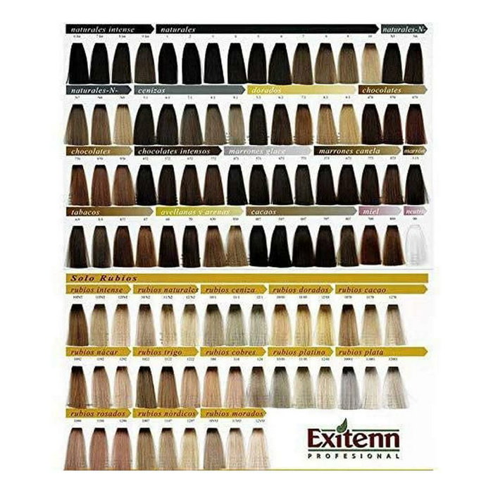 Exitenn Color Creme Color Plata