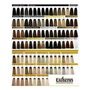 Exitenn Color Creme Color Plata
