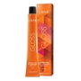 Lakmé Gloss Color 8/64 60 ml
