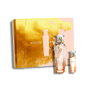 Adolfo Dominguez Agua de Rosas Blancas 120 mL con Vaporizador
