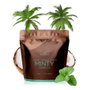 Cocosolis Luxury Coffee Scrub Box 4x70g