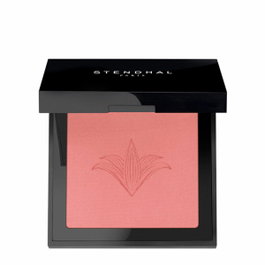 Stendhal Blush Illuminateur 301-Rose Nevada