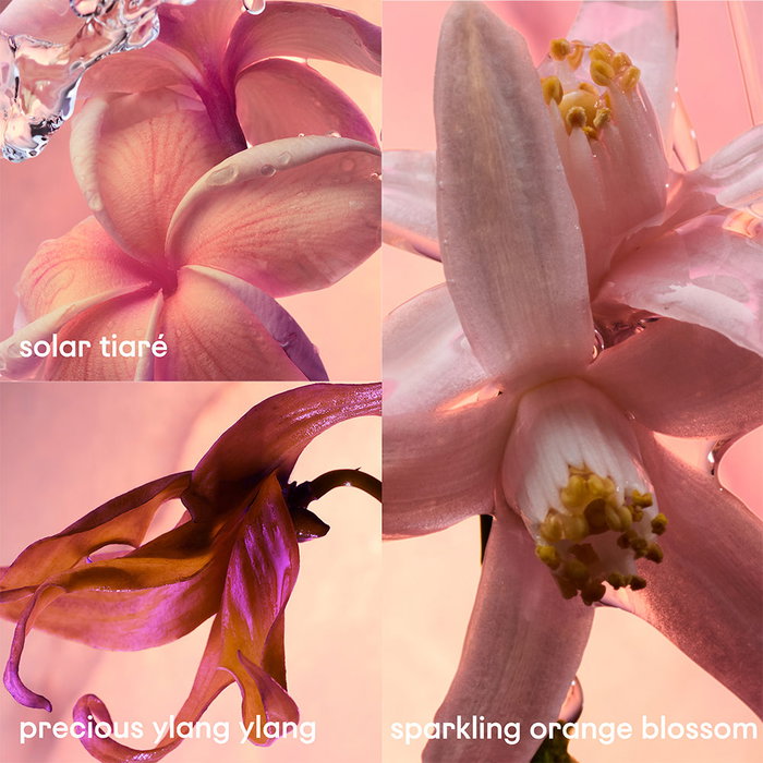 Paco Rabanne Olympéa Solar Eau de Parfum Vaporizador 50 ml Mujer Floral