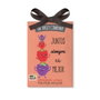 The Fruit Company Ambientador de Armario Frutos Rojos 13 g