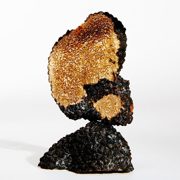 Loewe Earth Eau de Parfum Vaporizador 100 ml