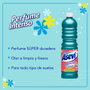 Asevi Fregasuelos Concentrado Cian 1 l