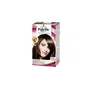 Schwarzkopf Palette Intensive Coloración Permanente 4.6 Castaño Marrón
