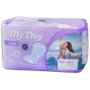 My Day Compresas de Incontinencia Midi 10 u