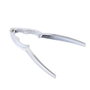San Ignacio Cascanueces Expert 15 x 3,5 cm