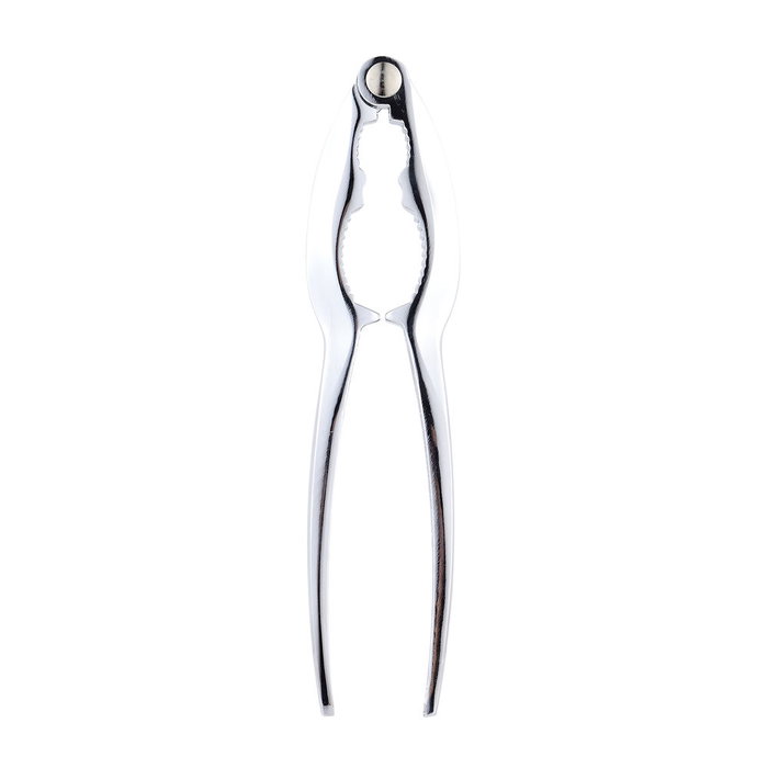 San Ignacio Cascanueces Expert 15 x 3,5 cm