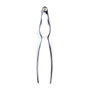 San Ignacio Cascanueces Expert 15 x 3,5 cm