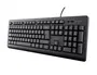 Trust Tk150 Teclado de Tamaño Completo, Tecleado Silencioso, Diseño Compacto y Resistente a los Vertidos, Cable USB de 1.8 m, Compatible con Windows, macOS y Chrome OS