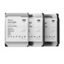 Synology HAT5300 HAT5300-12T 12 TB 3.5 pulg. SATA III