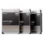 Synology HAT5300 HAT5300-12T 12 TB 3.5 pulg. SATA III